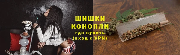 spice Вяземский