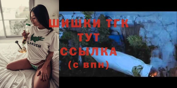 таблы Горняк