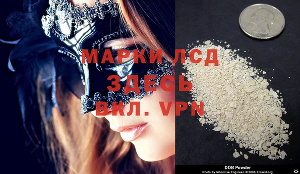 spice Вяземский