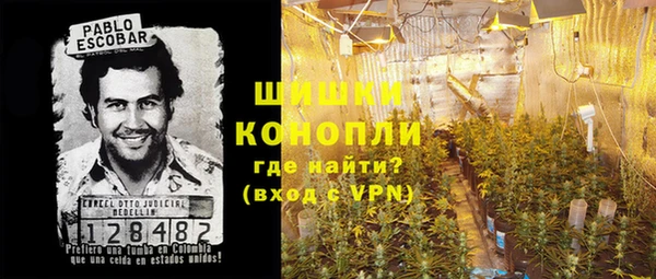 spice Вяземский